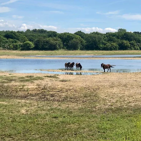 Studio Glücklich Am Meer Ferienhaus *