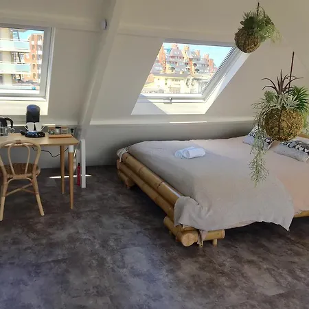 Studio Glücklich Am Meer *