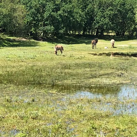 Studio Glücklich Am Meer Egmond aan Zee