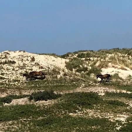 Studio Glücklich Am Meer