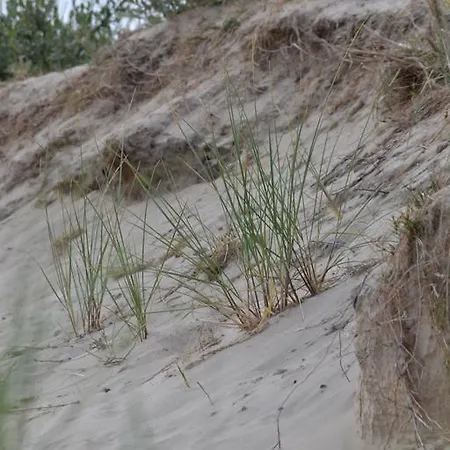 Studio Glucklich Am Meer Vakantiehuis Egmond aan Zee